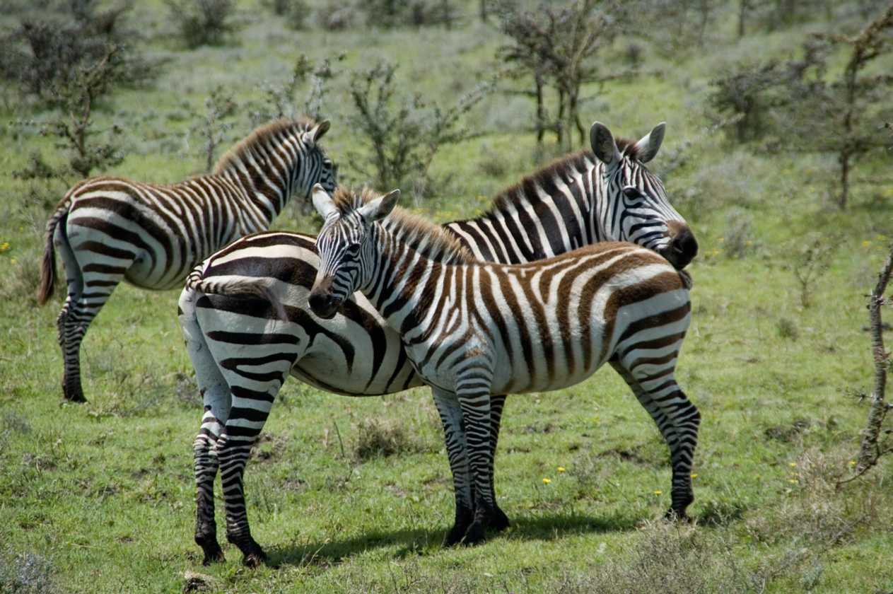 03-tanzania-17