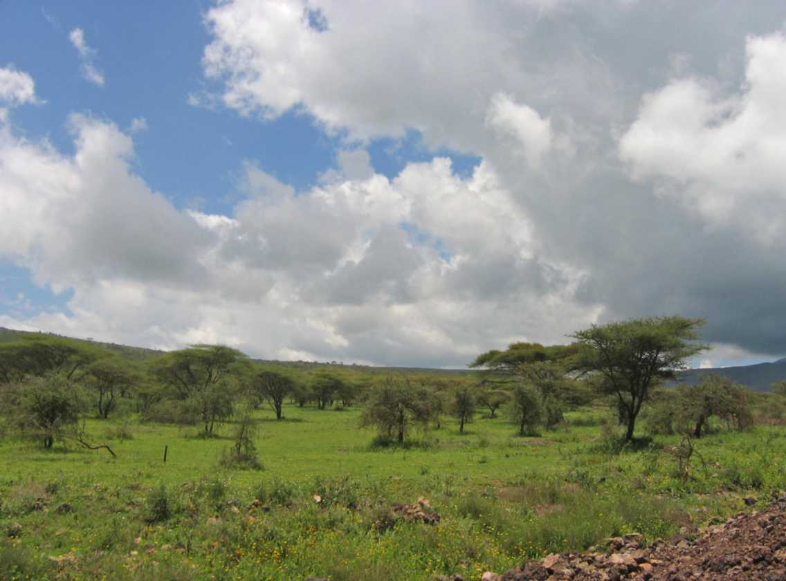 03-tanzania-18