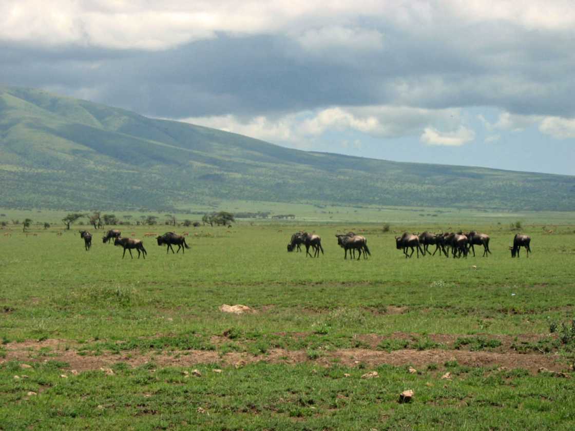03-tanzania-19
