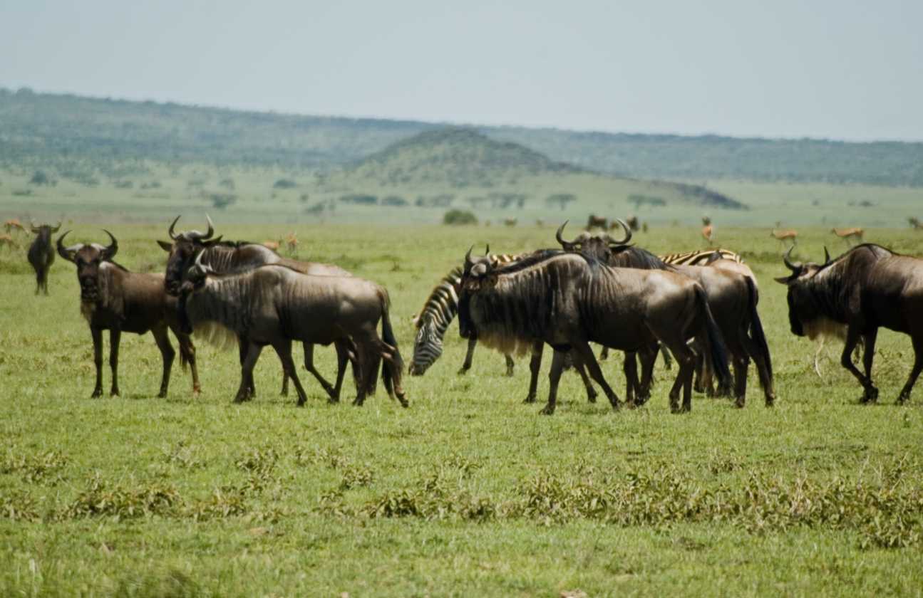 03-tanzania-21