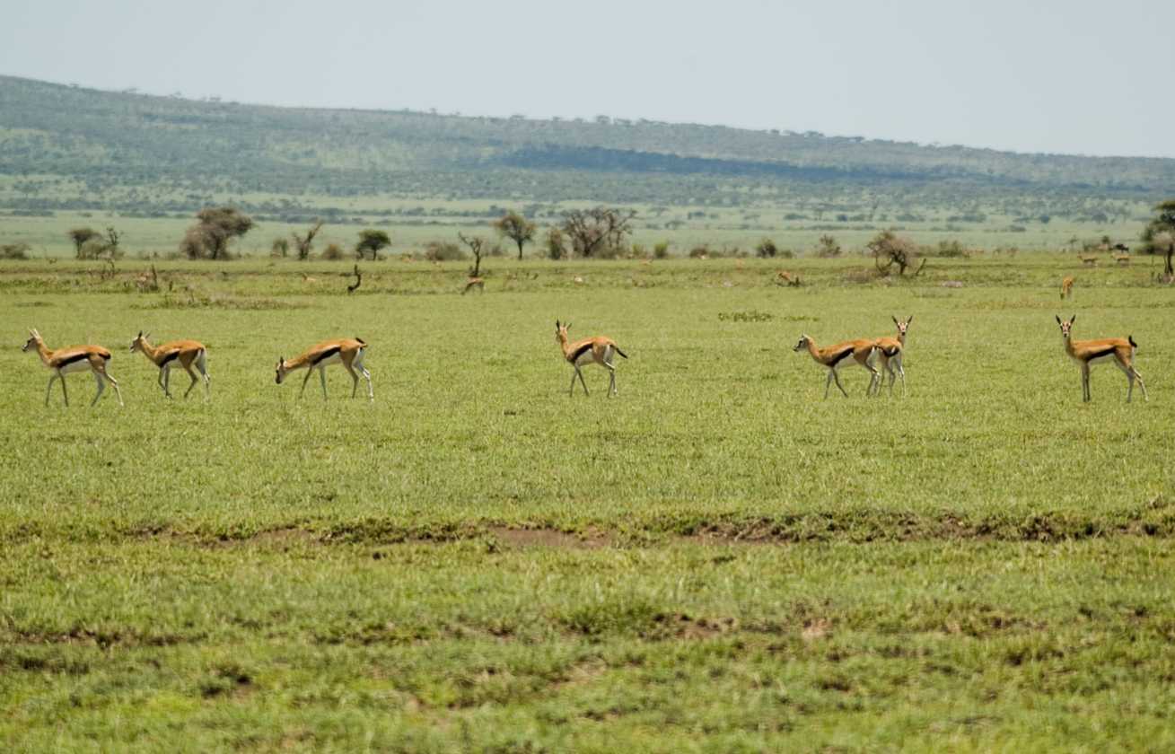 03-tanzania-24