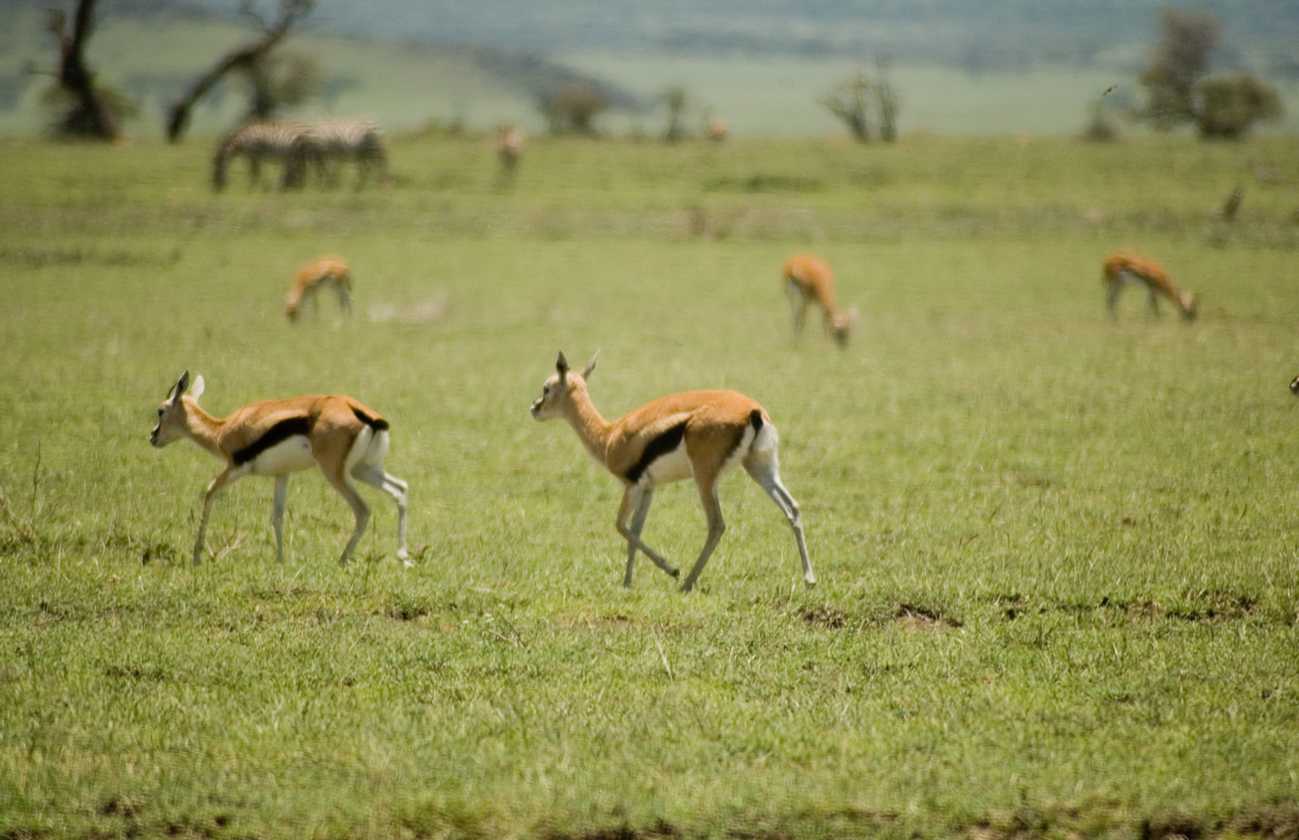 03-tanzania-25