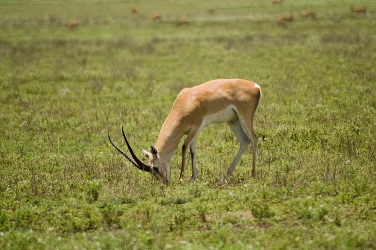 03-tanzania-27