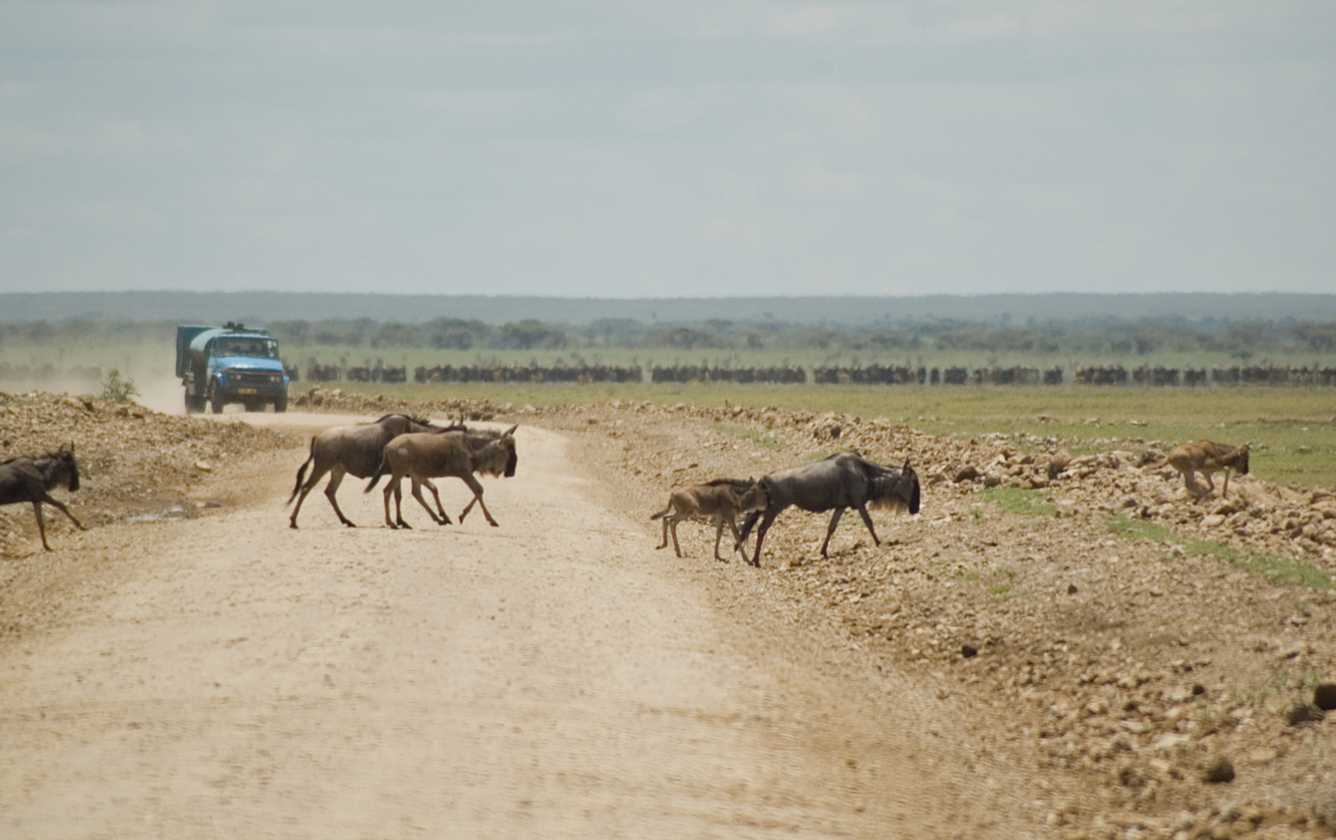 03-tanzania-30