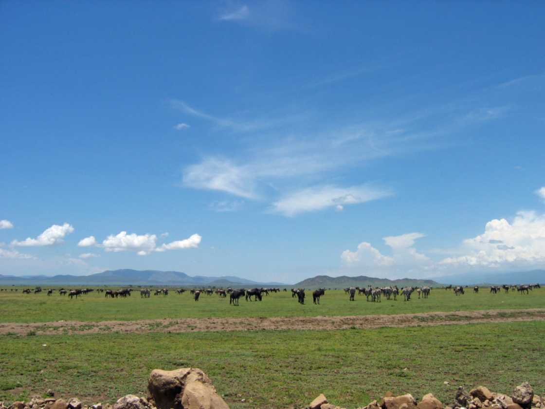 03-tanzania-32