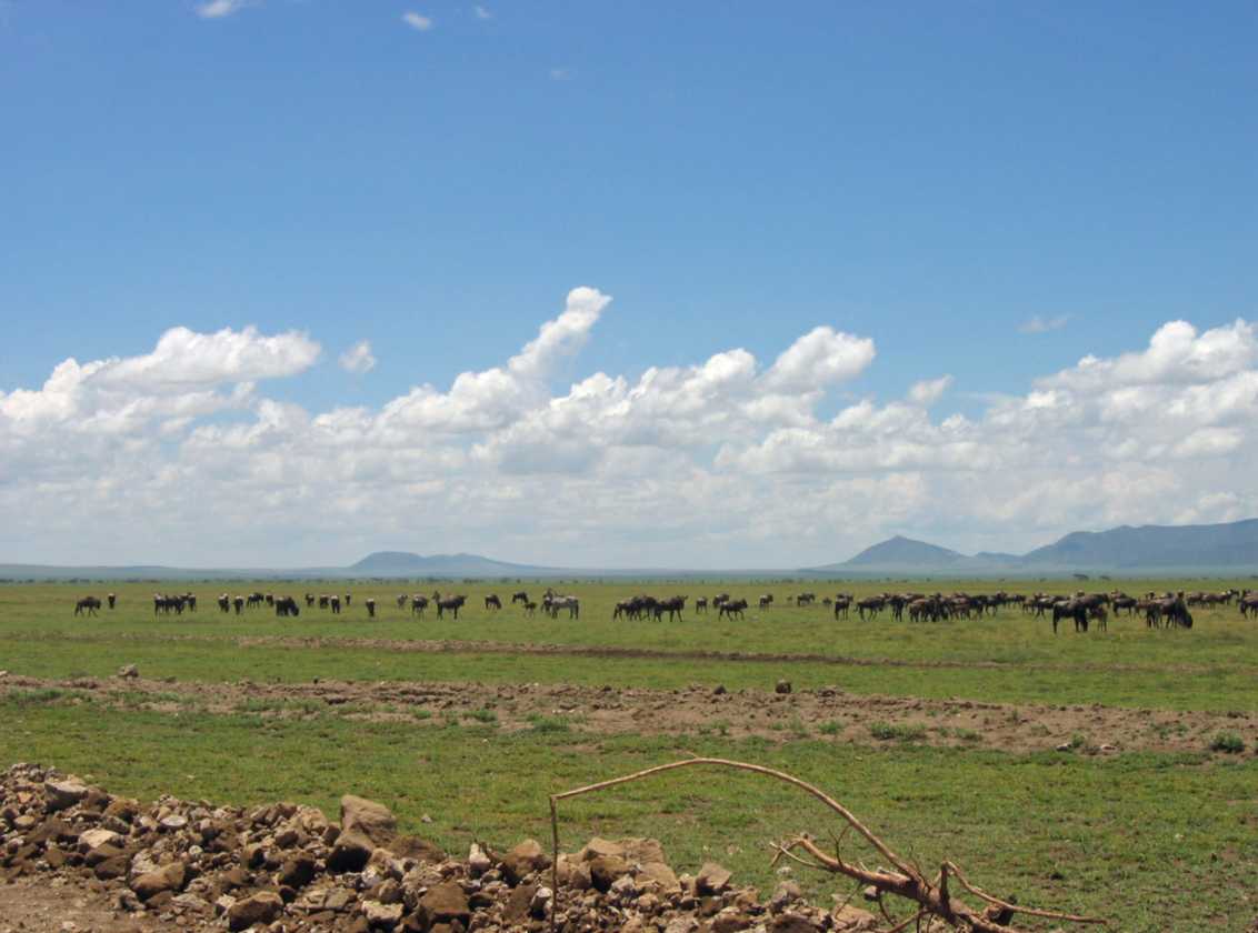 03-tanzania-33