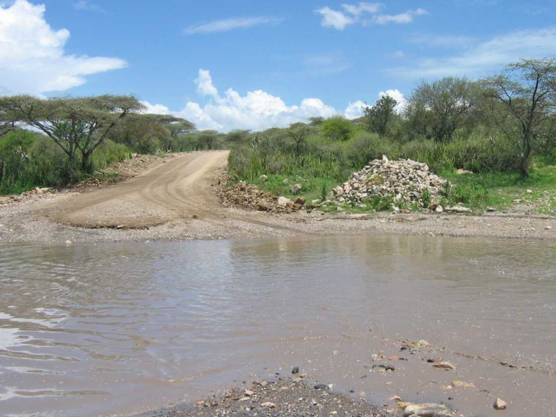 03-tanzania-35