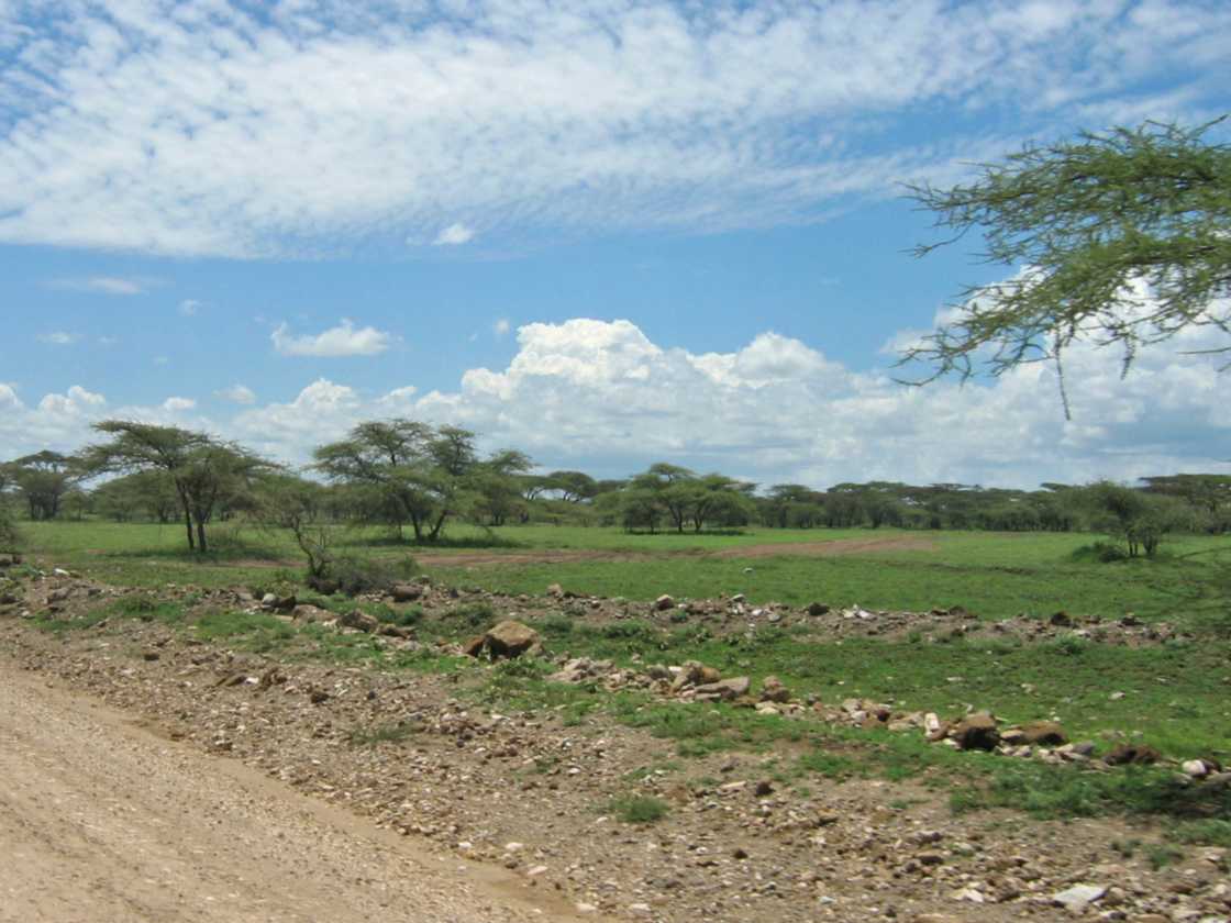 03-tanzania-36
