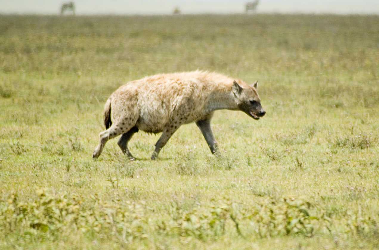 03-tanzania-37