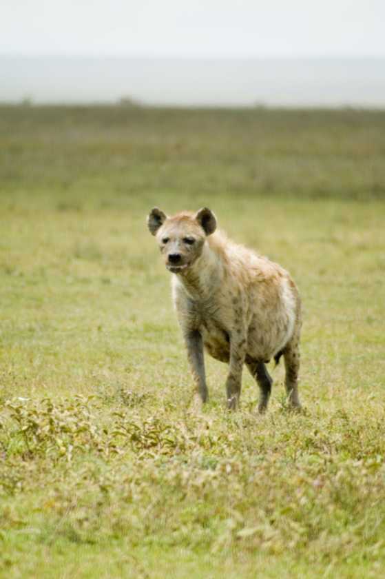 03-tanzania-38