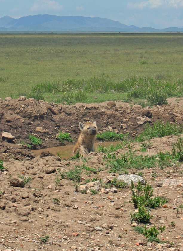 03-tanzania-40