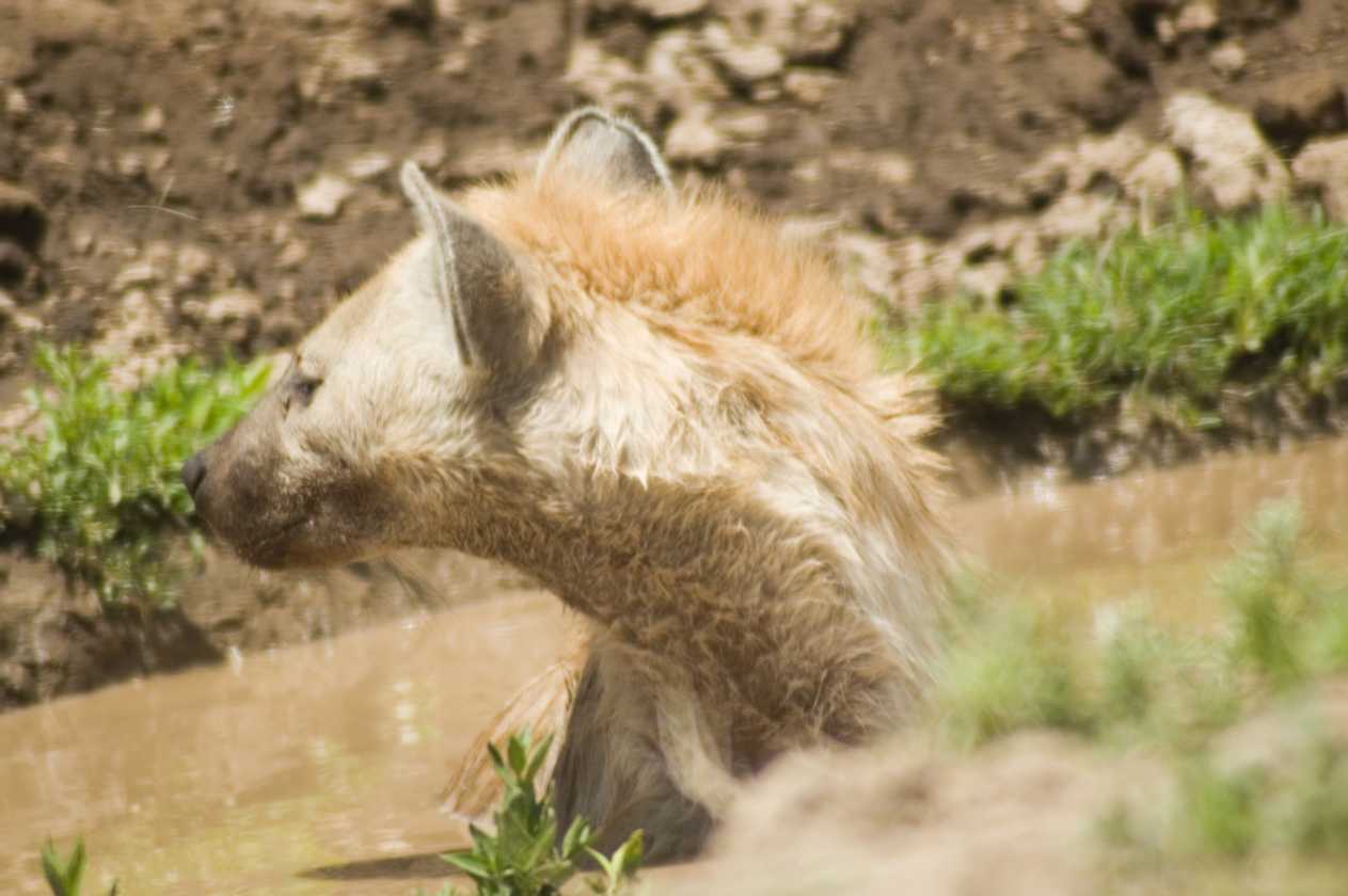 03-tanzania-41