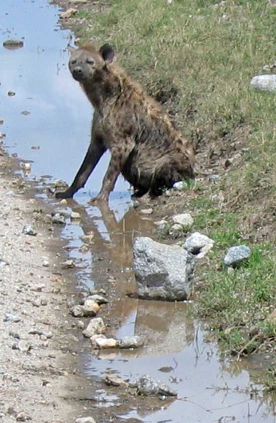 03-tanzania-42