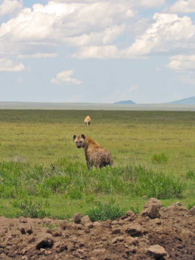 03-tanzania-43