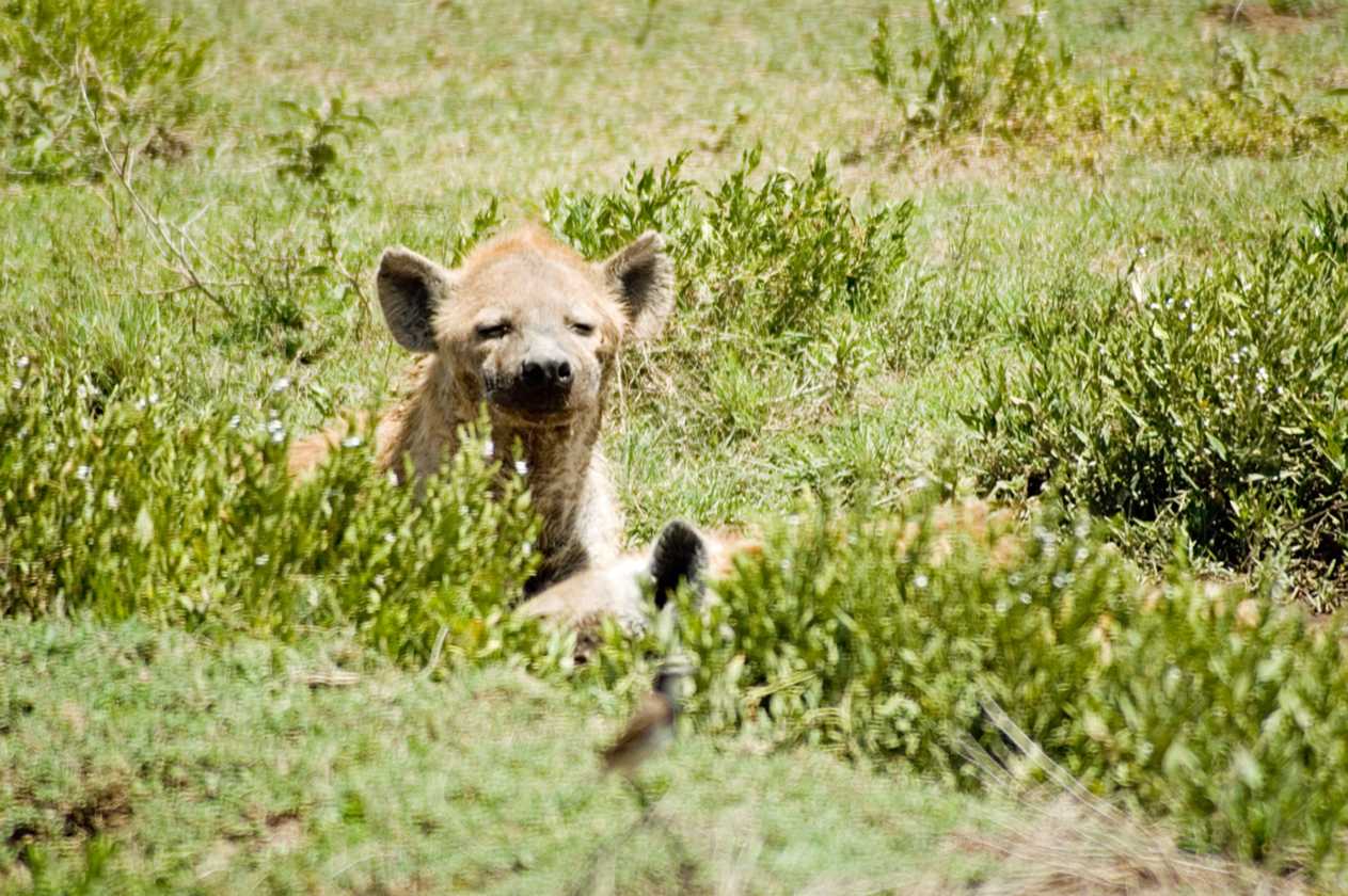 03-tanzania-45
