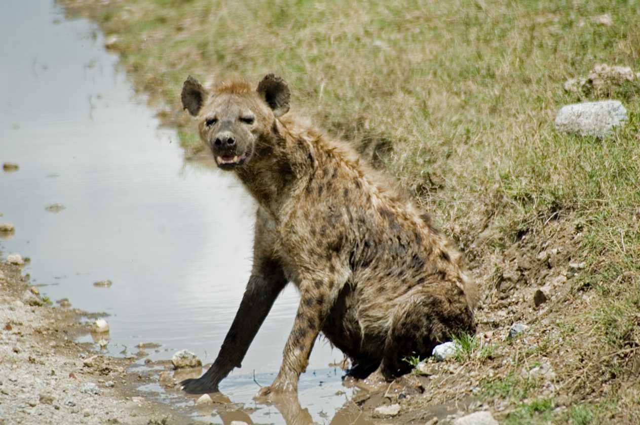 03-tanzania-47