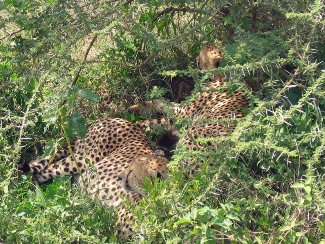 03-tanzania-48