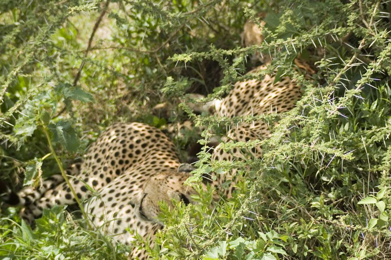 03-tanzania-49