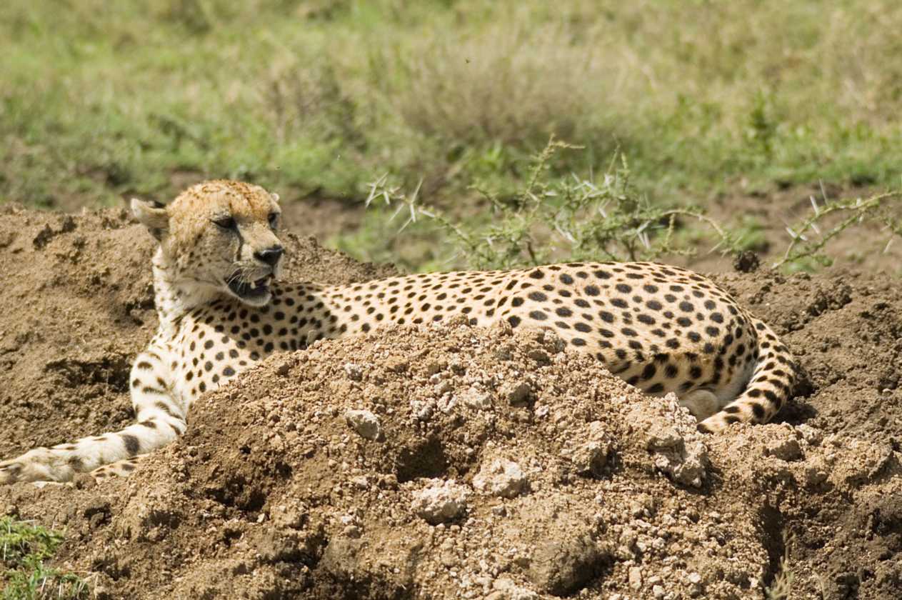 03-tanzania-51
