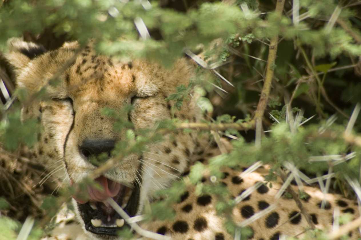 03-tanzania-53