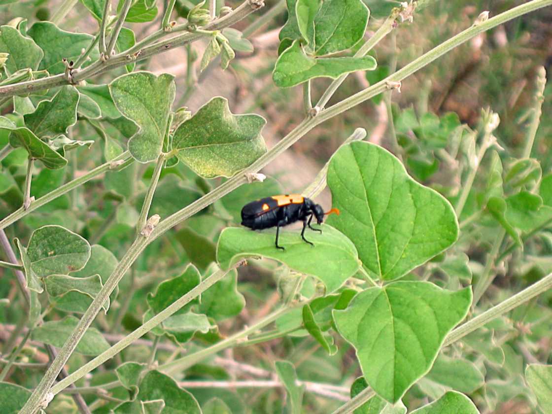 03-tanzania-59
