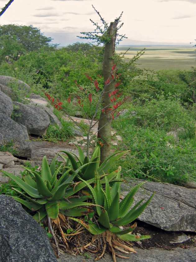 03-tanzania-62