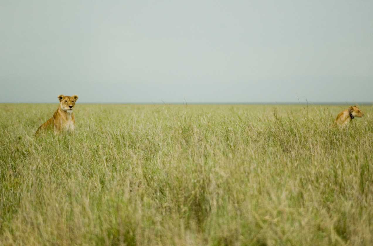03-tanzania-65