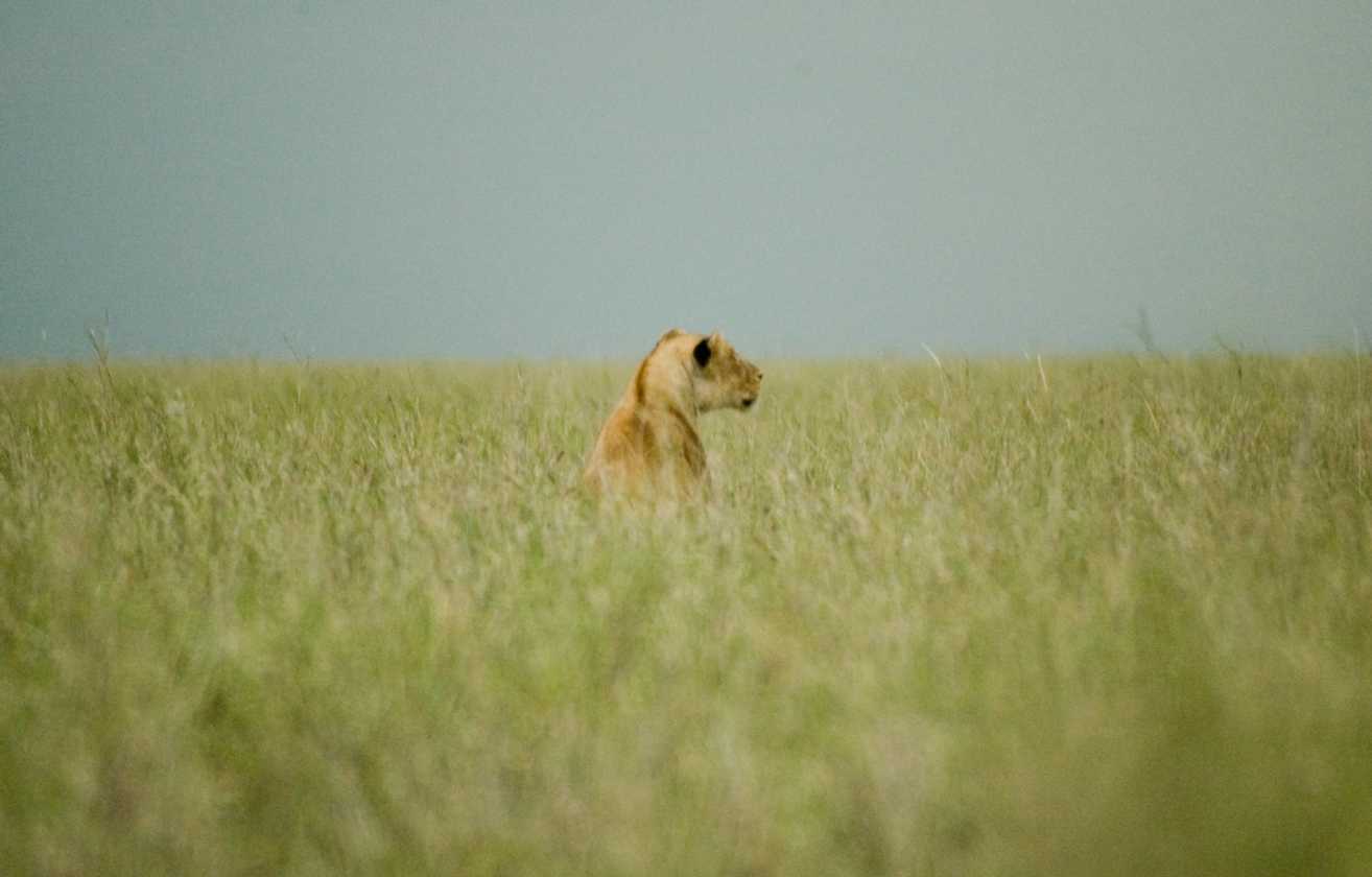 03-tanzania-66