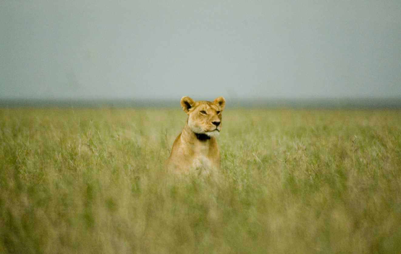 03-tanzania-67