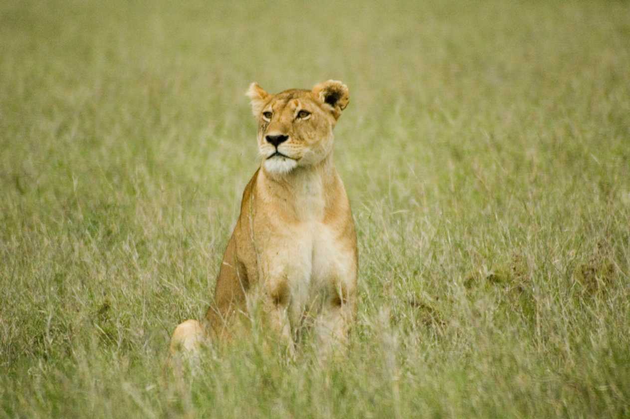 03-tanzania-69