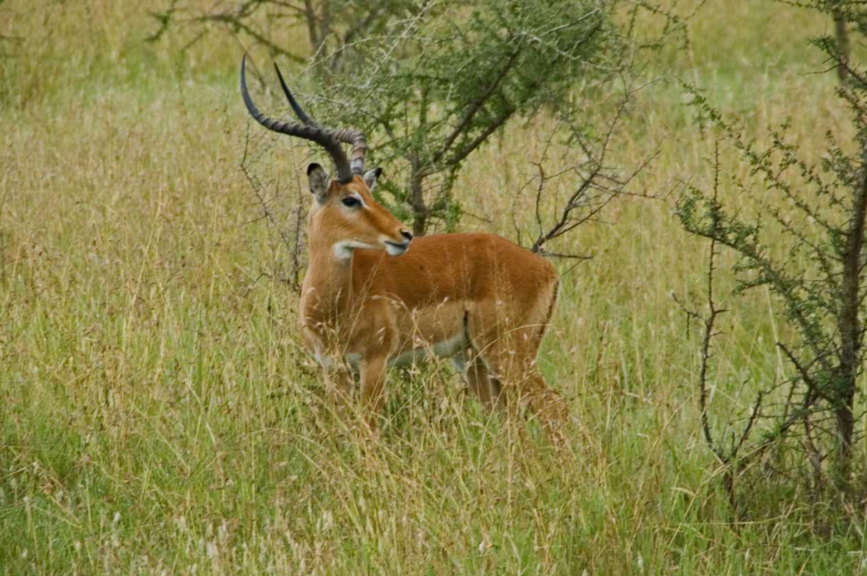 04-tanzania-09