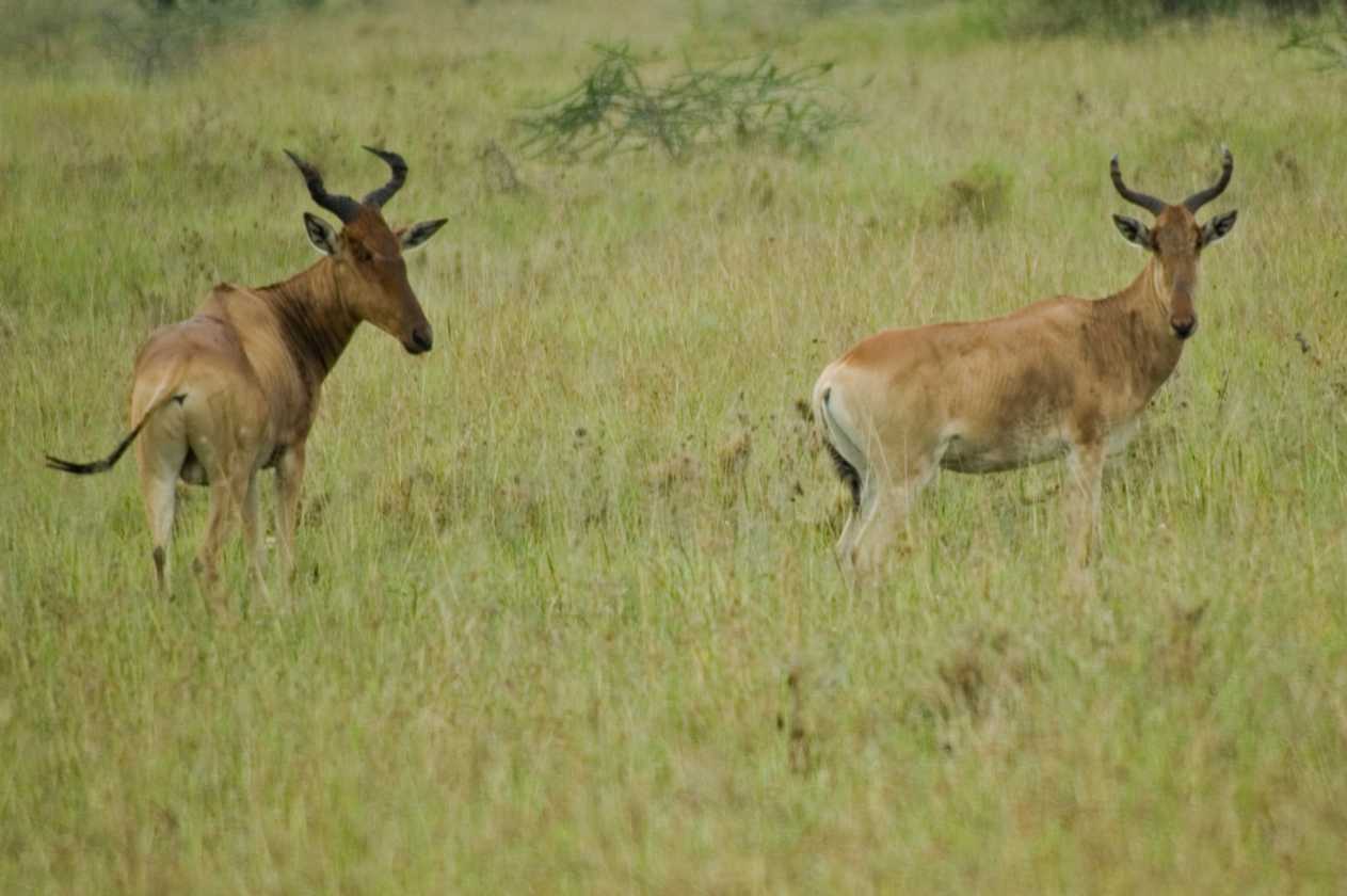 04-tanzania-10