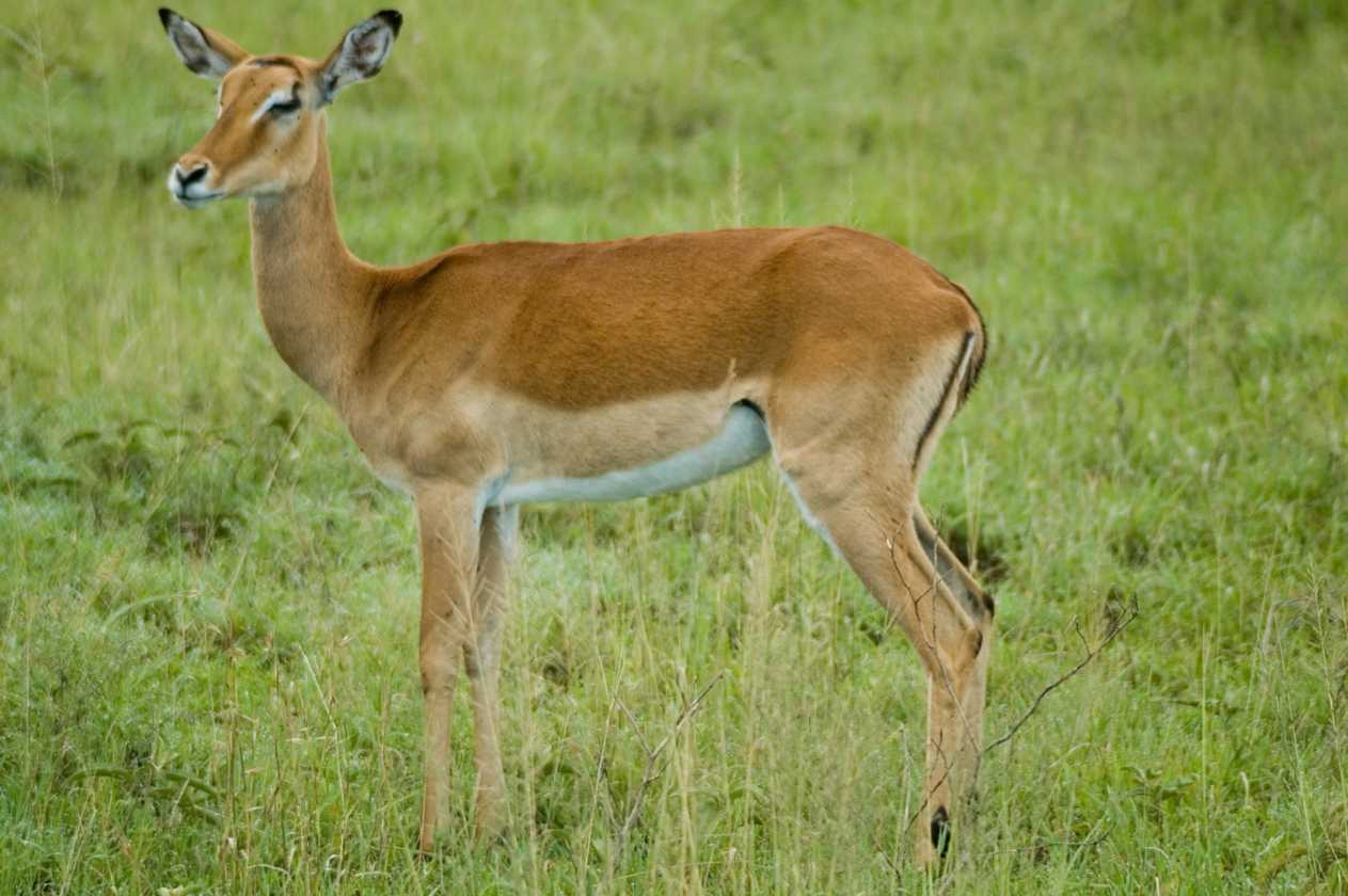 04-tanzania-13