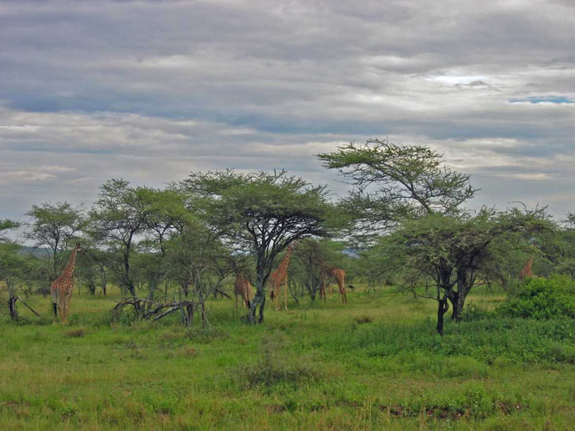 04-tanzania-14