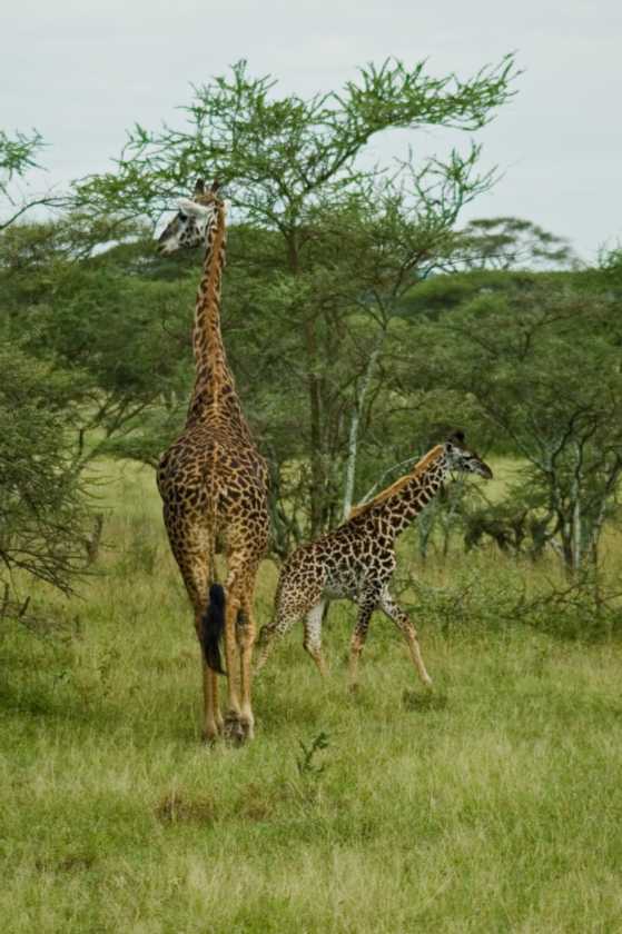 04-tanzania-17