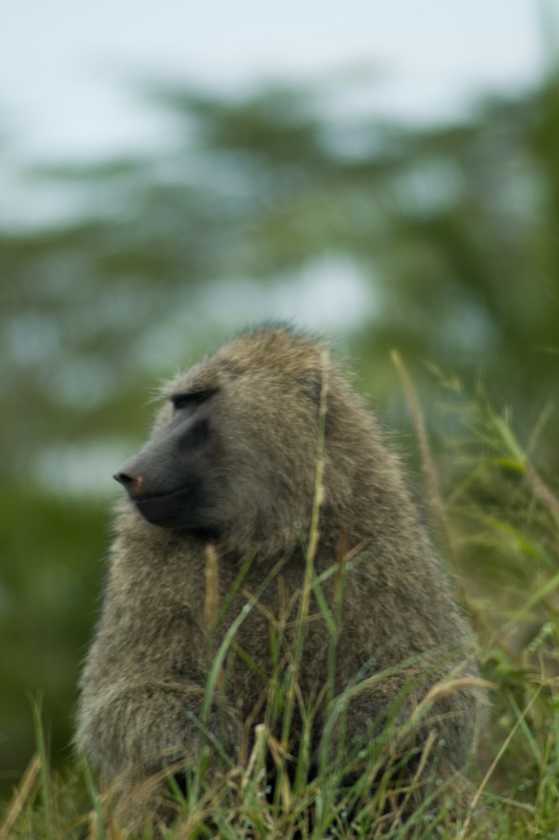 04-tanzania-19