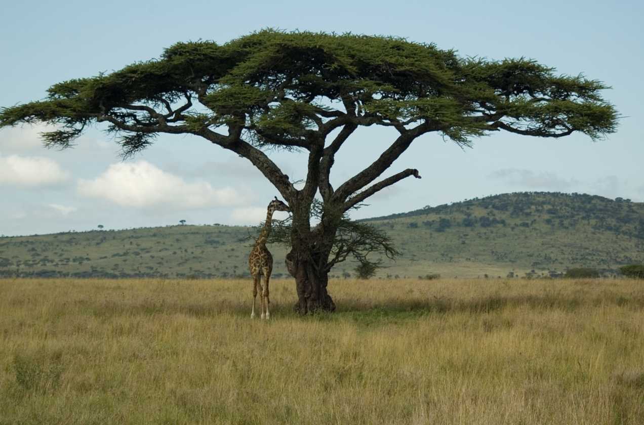 04-tanzania-22