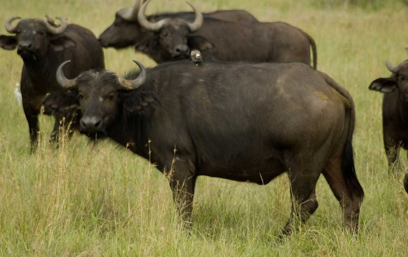 04-tanzania-24