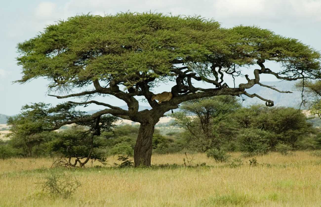 04-tanzania-27