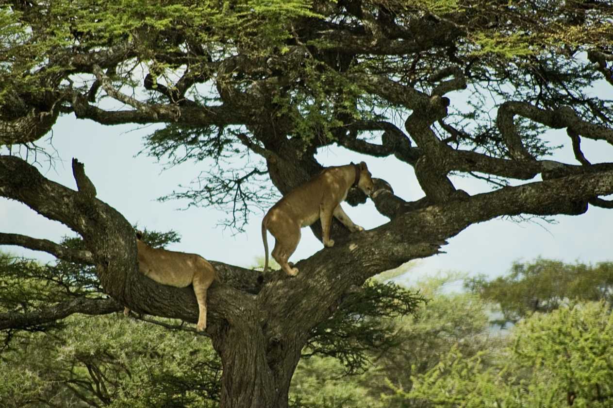 04-tanzania-32