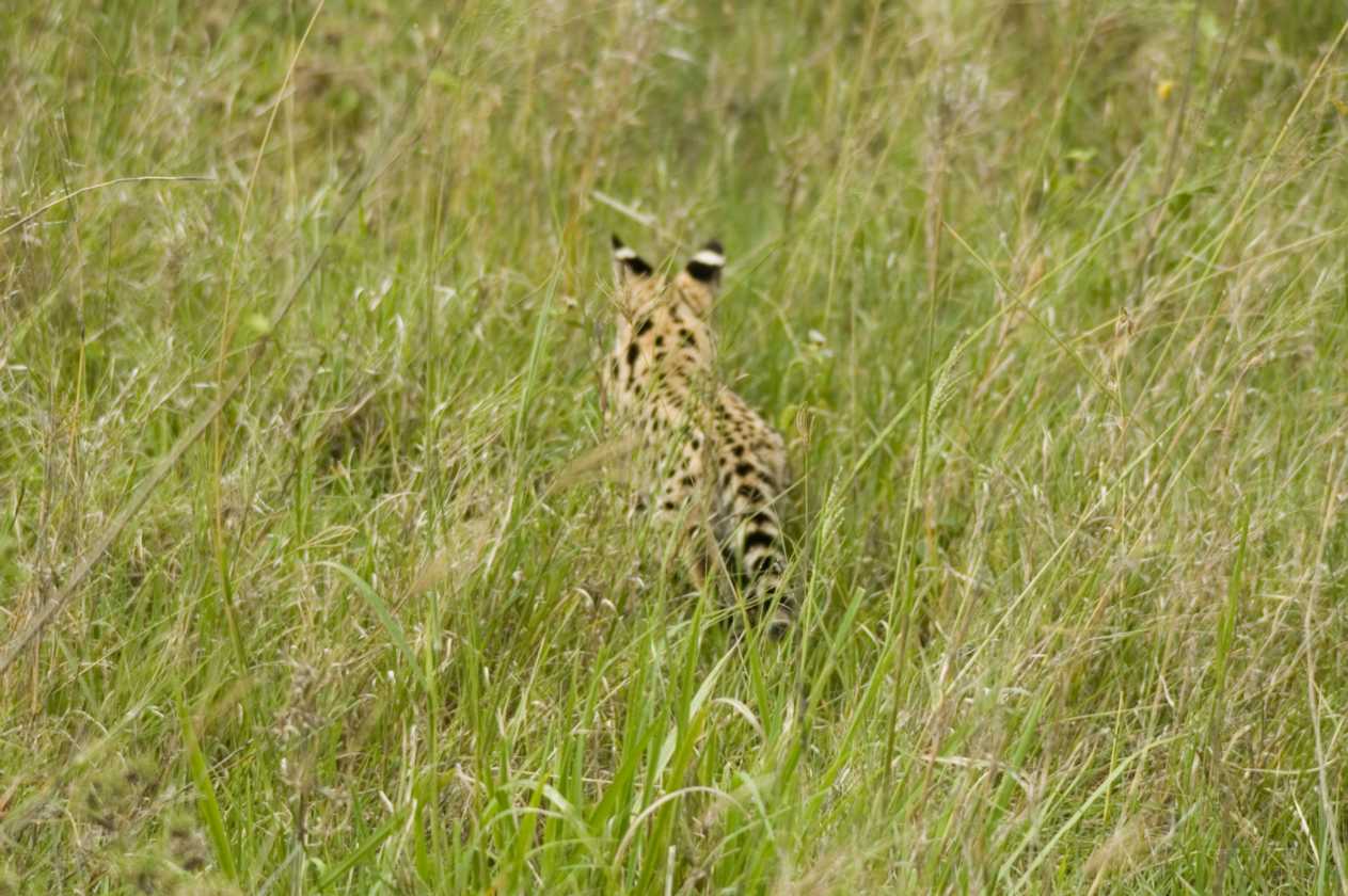 04-tanzania-39