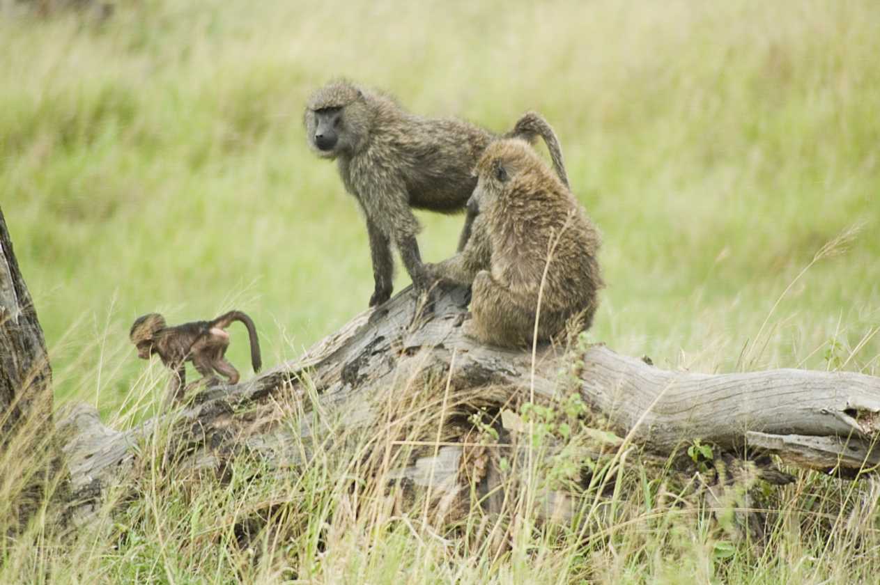 04-tanzania-41