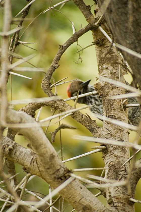 04-tanzania-44