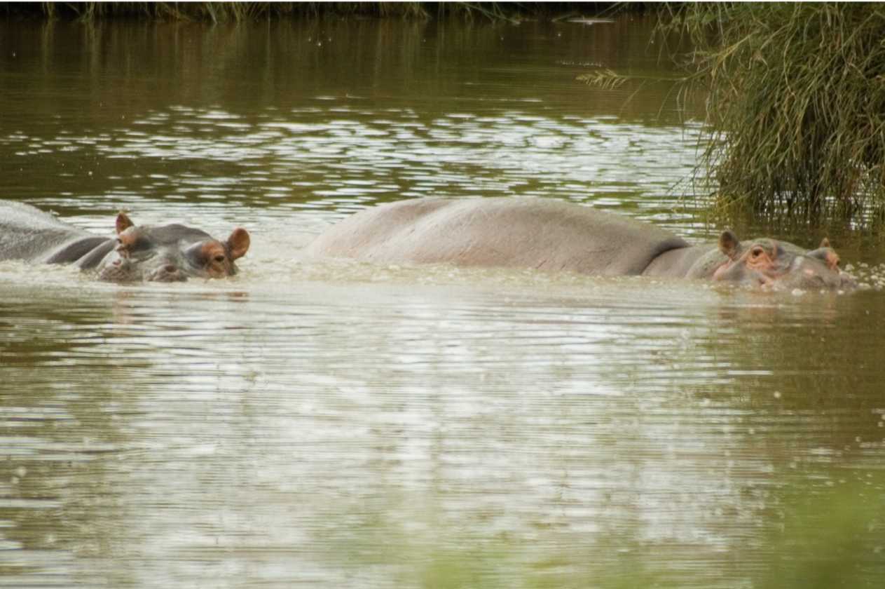 04-tanzania-45