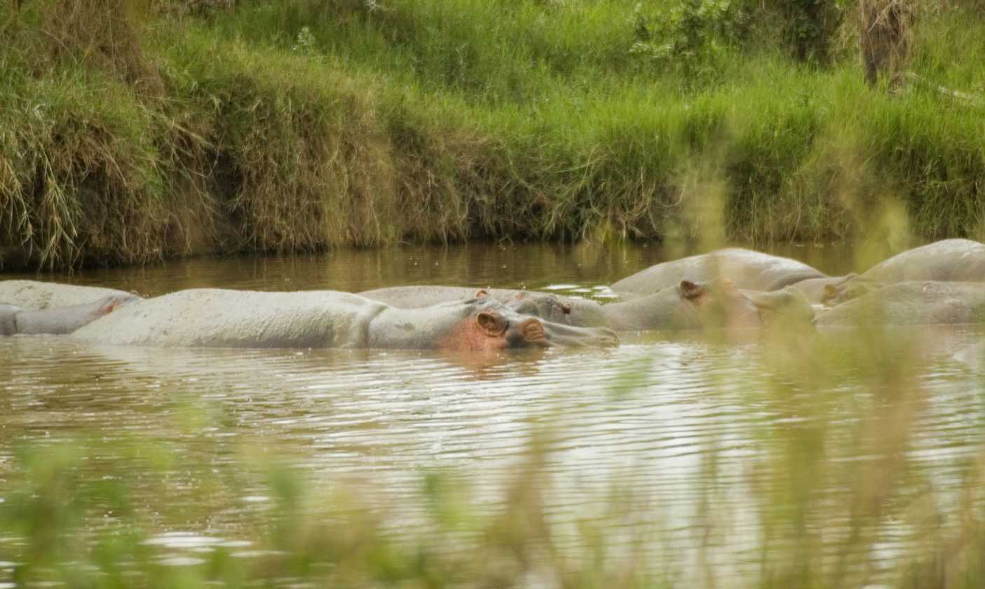 04-tanzania-46