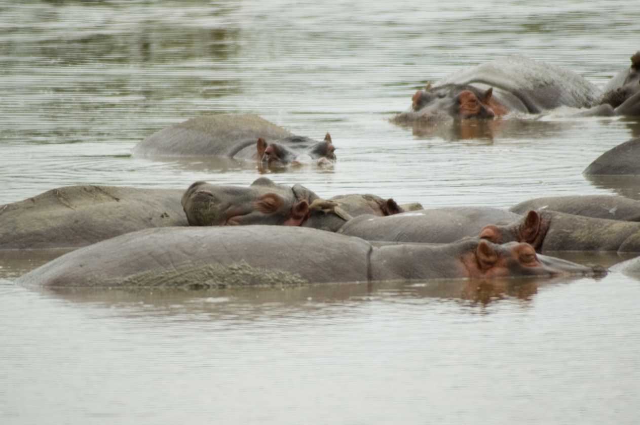 04-tanzania-48