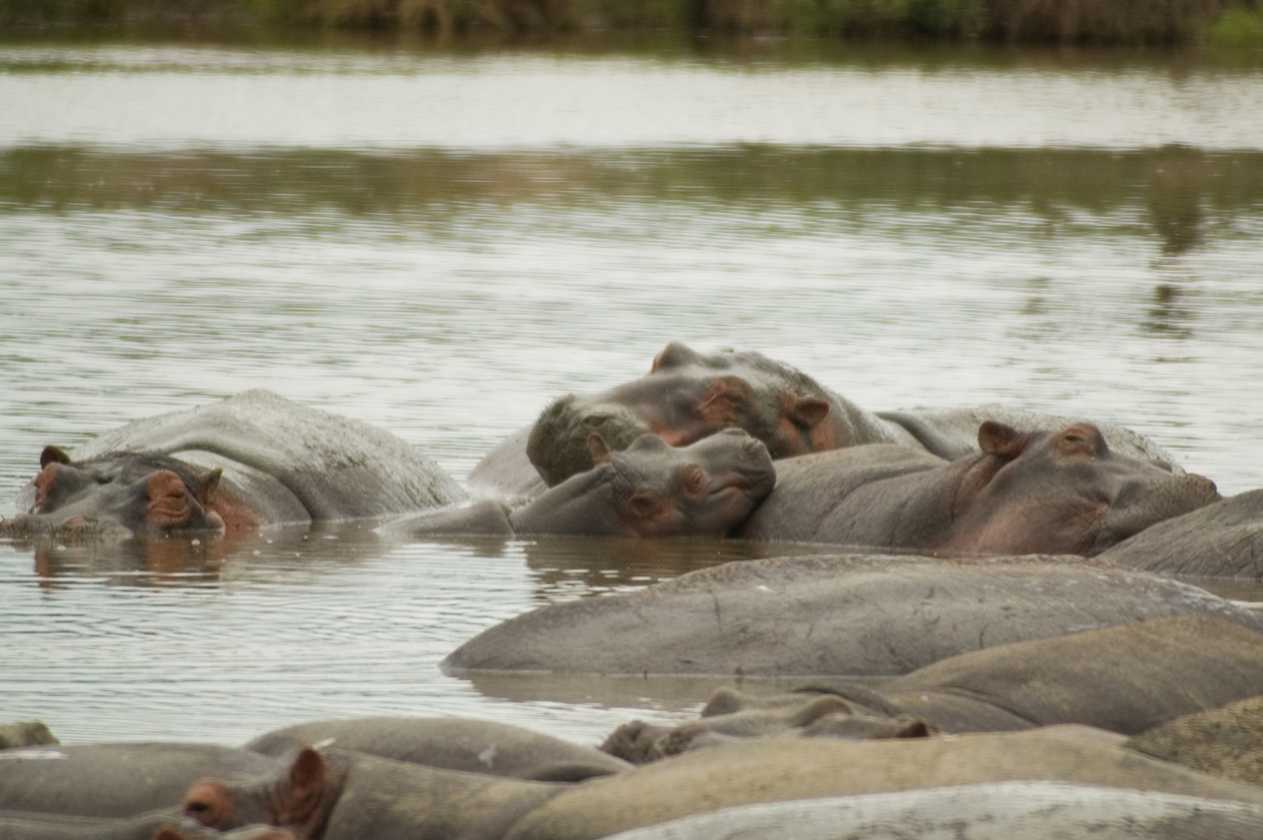 04-tanzania-49