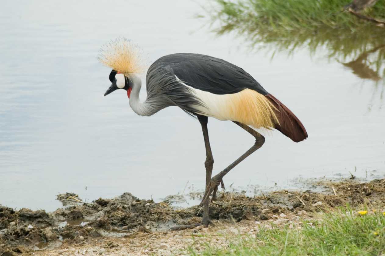 04-tanzania-52