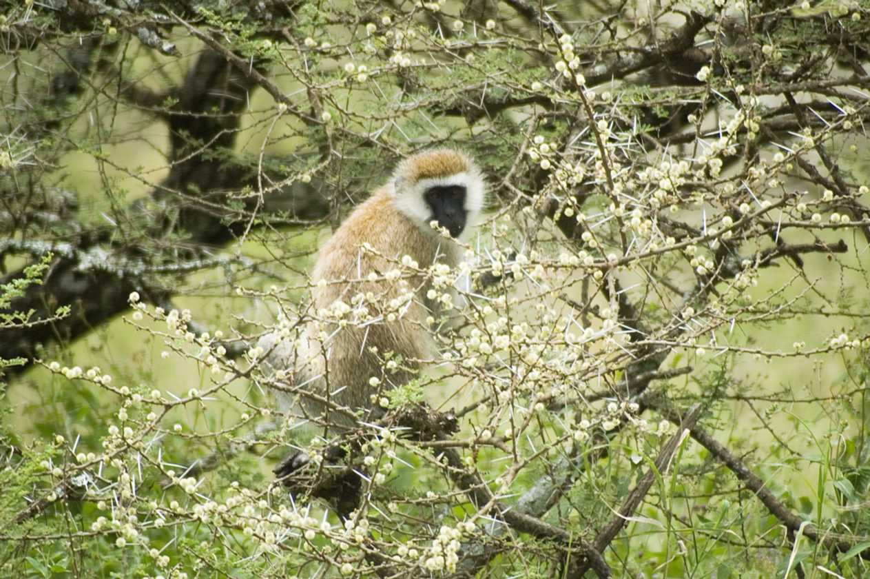 04-tanzania-53