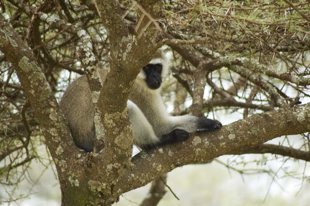 04-tanzania-54